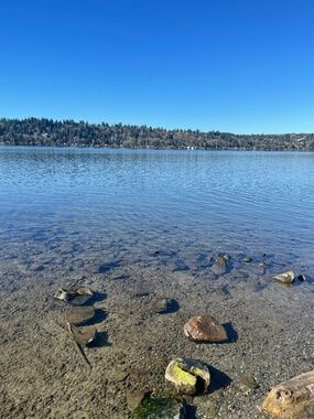 Meet your Posher, Irene